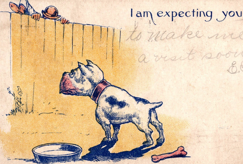 I Am Expecting You Watch Dog Man Climbing Fence Dog Bone Dish Postcard c1907