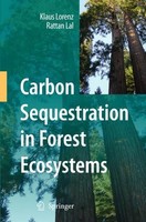Carbon Sequestration In Forest Ecosystems Klaus Lorenz