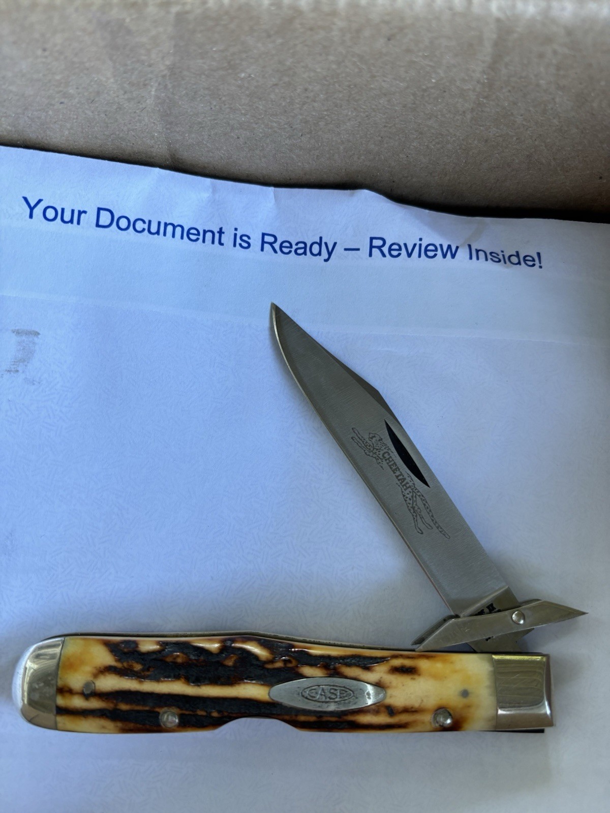 CASE XX Stag Cheetah 5111 1/2LSSP Knife8/9 Dot 1971/72 Thick Matched Handles NR