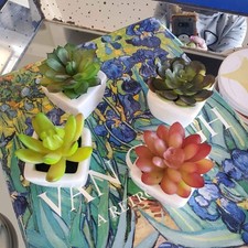 Faux potted mini succulents