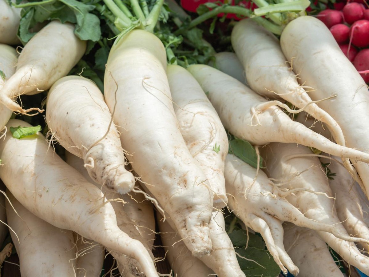 White Icicle Radish Seeds - Non-GMO Mini Daikon Variety, Easy To Grow, Free Shipping