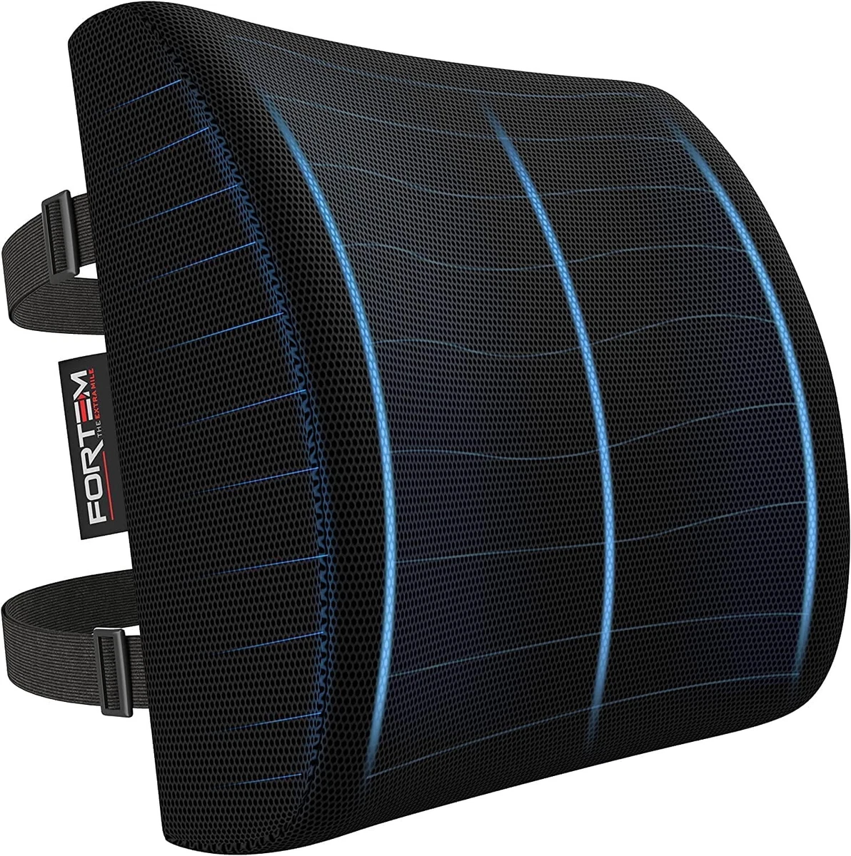 FORTEM Lumbar Support Office Chair Lumbar Support Pillow Mesh