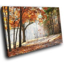 SC620 Orange Green Autumn Forest Nature Canvas Wall Art Large Picture Prints