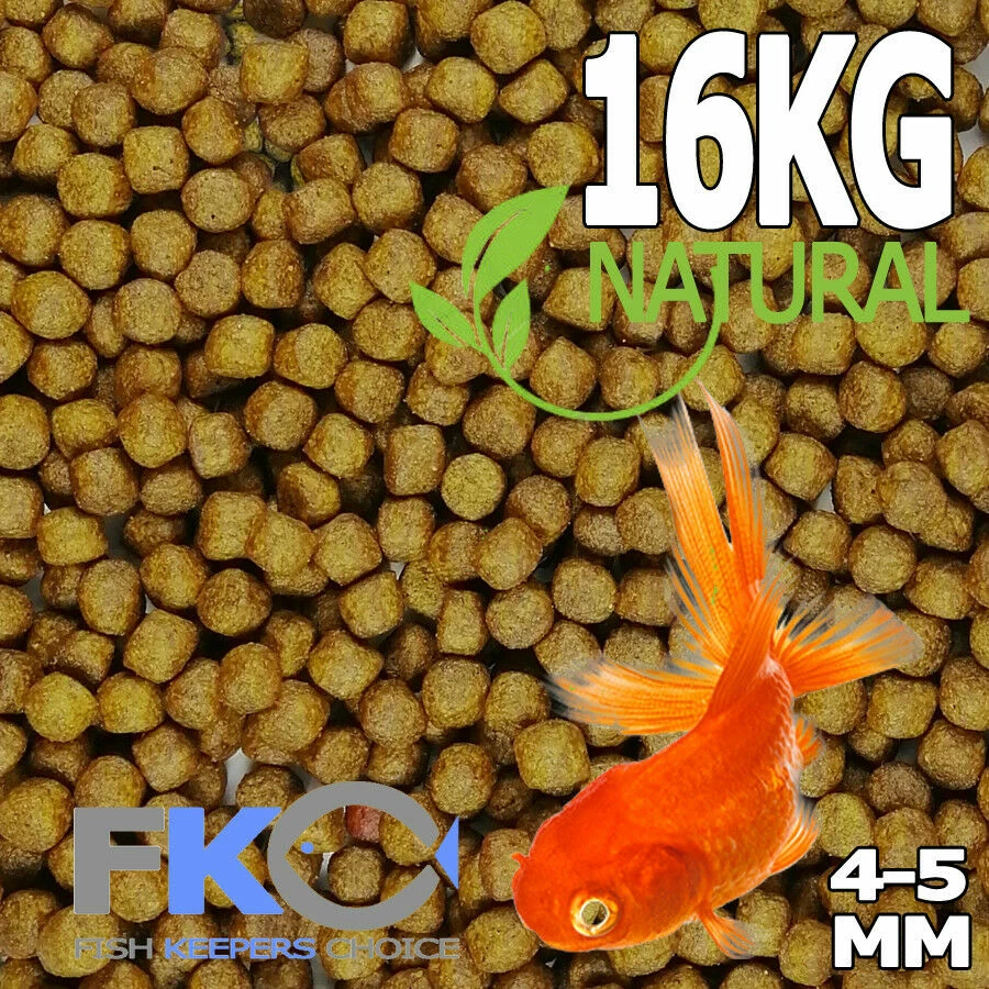 Natural goldfish cheap food