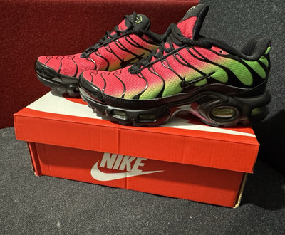 Nike Air Max Plus TN Herren Sneaker Low Top Mehrfarbig EU 40 DM0032-027