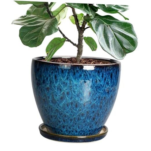 lavender planting pots Italian Terra Cotta Lavanda Outdoor Bowl