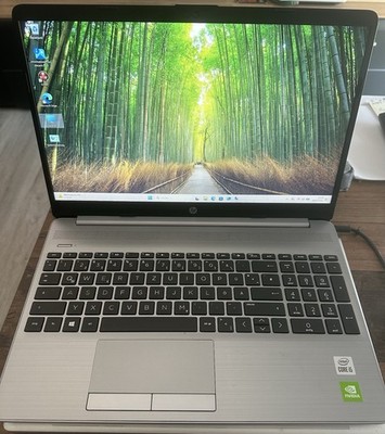 HP 250 G8 15,6 Zoll i5-1035G1 8GB 238GB SSD MX130 Win 11 Pro Silber