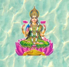 Hindu Goddess Lakshmi / Laxmi 100% waterproof vinyl sticker decal - many sizes