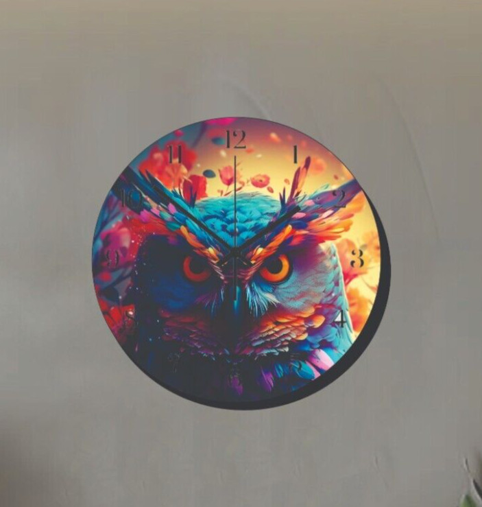 Colorful Owl Bird Art Wall Hanging Clock Time Piece