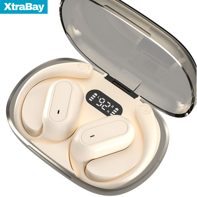 Earphones