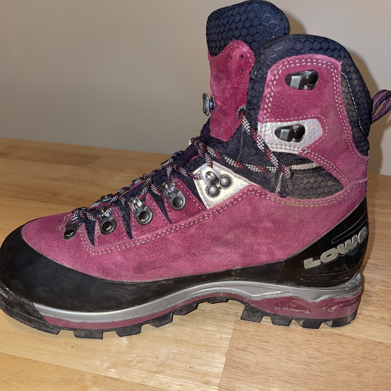 EXPERT GTX EVO Mountaineering Boot | eBay