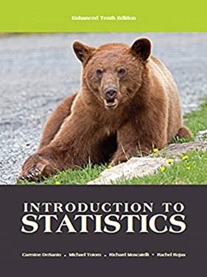 Introduction to Statistics Paperback