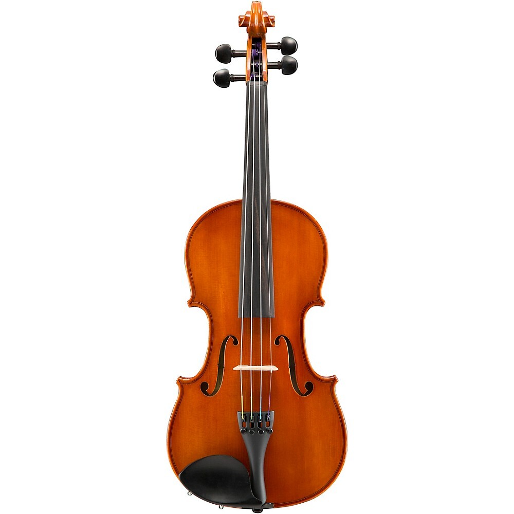イーストマン VL80 3/4 2015年 バイオリン 分数バイオリン その他 Standard series VL80 セットバイオリン (1/2サイズ/身長