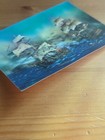 Foto 12 di 13