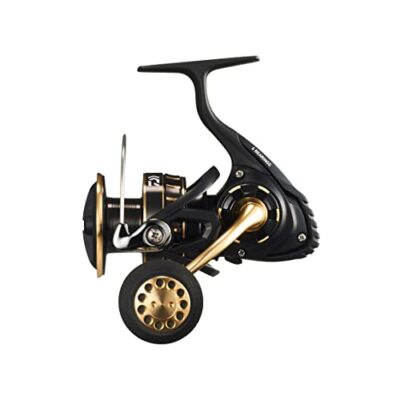 DAIWA 23 BG SW 5000D-CHX Spinning Reel Saltwater Fishing Japan New