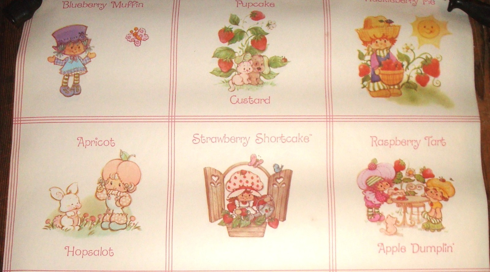 *UNUSED Vintage Shortcake 21 Strawberry Swatch Wallpaper approx POSTER x 14 - vintagewatches.pk