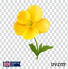 Canola Flower UV DTF Sticker - Glass Laptop Tumbler Cup