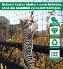Foto 7 di 8