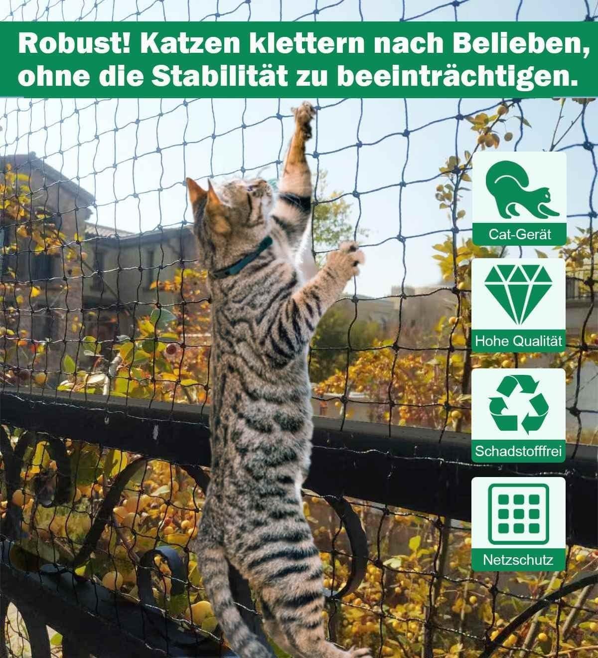 Foto 7 di 8