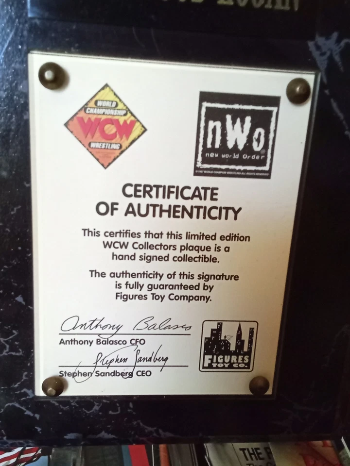 Hulk Hogan Autographed WCW Hollywood Hogan Plaque Rare NWO Wrestling Memorabilia - Image 3 of 4