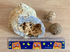 Three Natural Sea Sponge Fossils - Chilterns Cretaceous - Decor, Geology