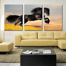 Black Horse ready to hang 3 piece mounted wall art/Better than stretched canvas