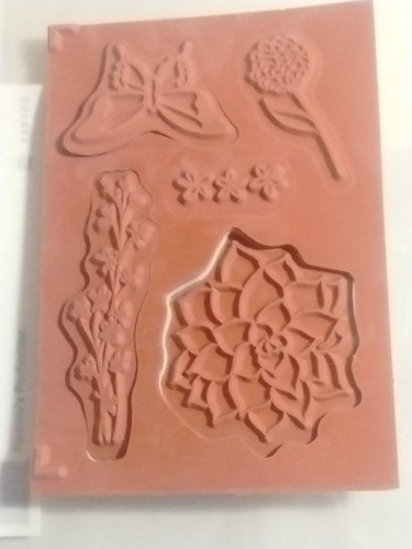 Juego de 5 estampillas Stampin' Up Nature's Perfection #139100 - Imagen 6 de 7