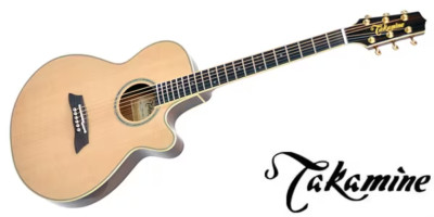 Takamine / TSP138C Natural Thinline Acoustic Electric Guitar