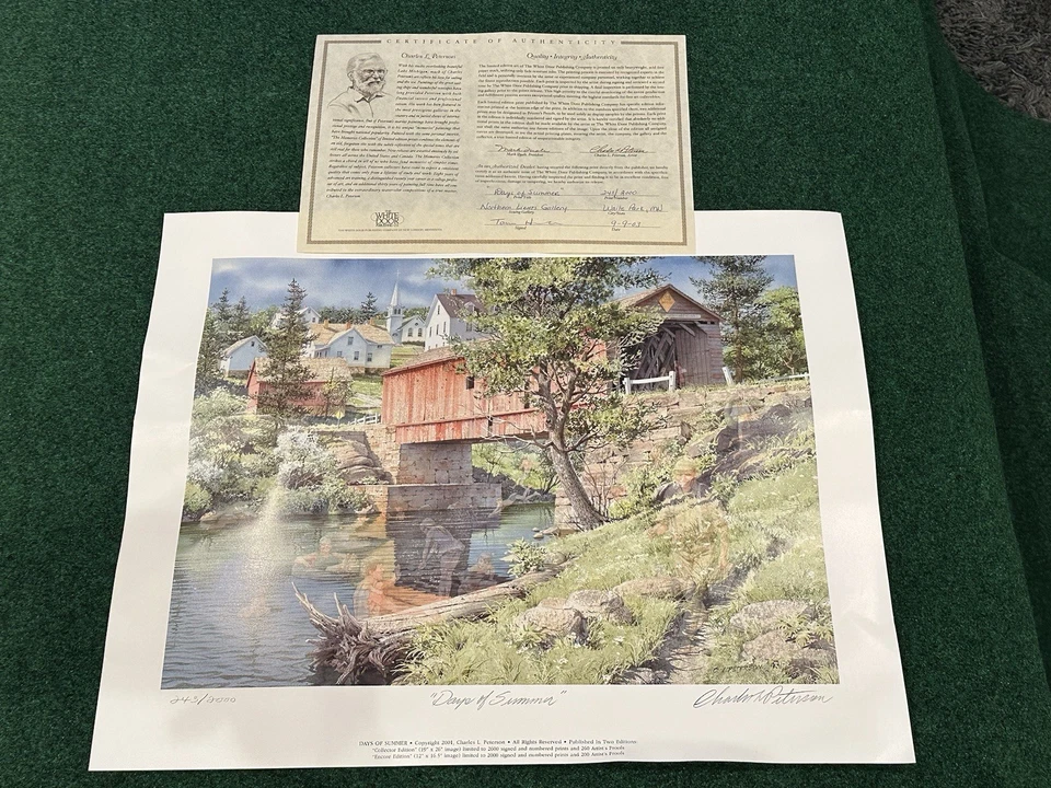 CHARLES PETERSON Lote de 2 ("Hojas ardientes" + "Días de verano") Impresión firmada #'d Foto 2 de 4