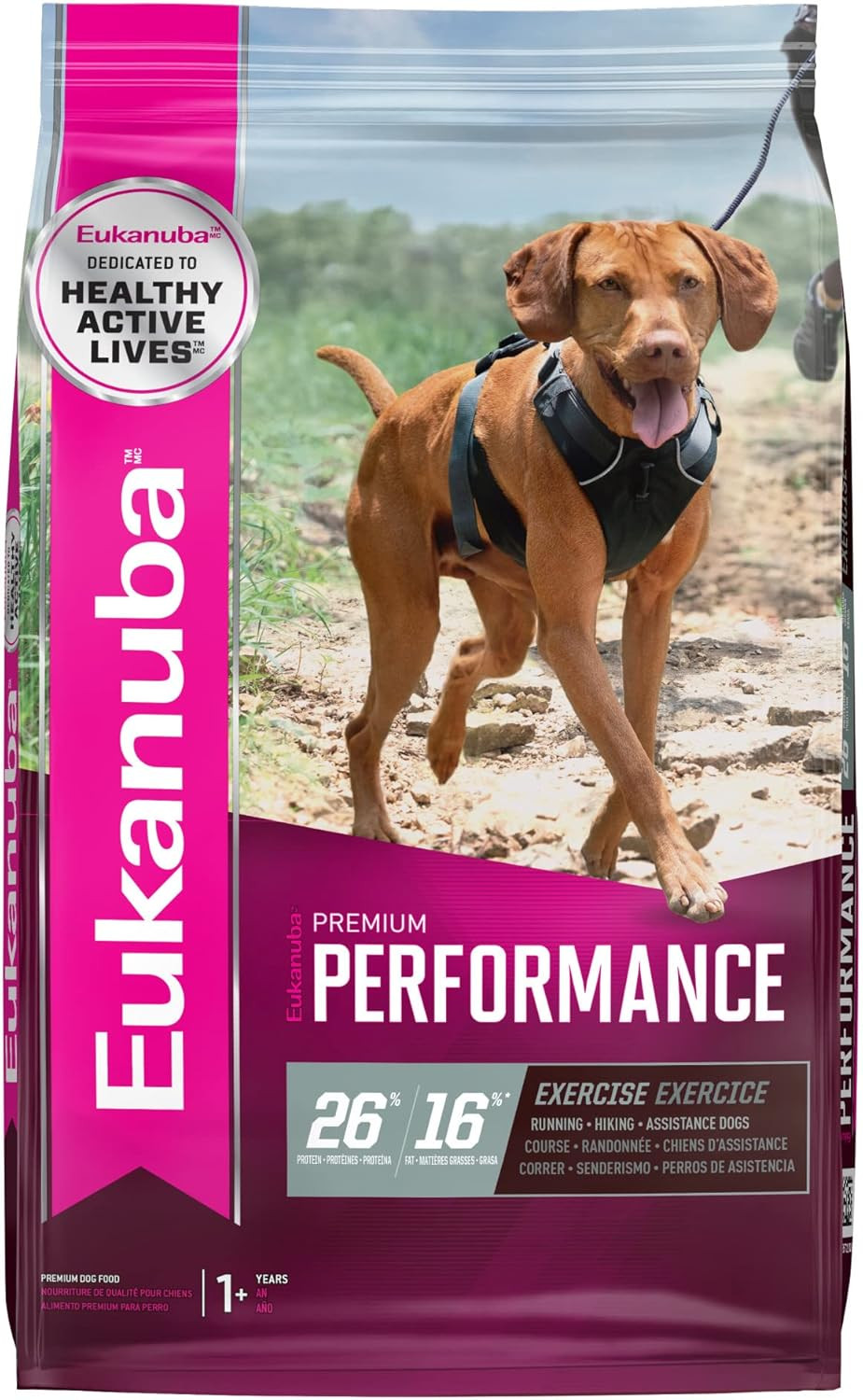 , Dry Dog Food With Prot
