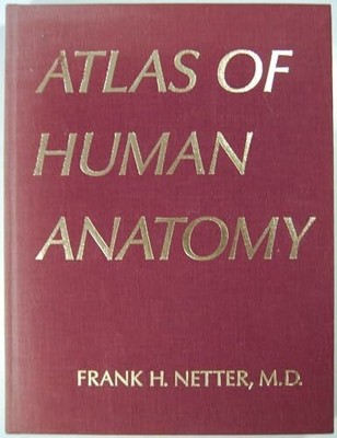 Atlas of Human Anatomy Buch Novartis Medical Education Programme