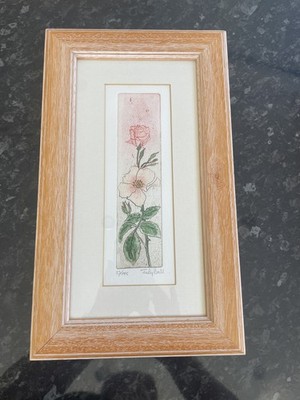 Judy Ball Limited Edition Etching 23/175 Flowers Picture 22cm X 37cm