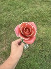 Real 24K Gold Dipped Coral Rose Preserved Lacquer Flower Anniversary Gift -Stand — photo 2