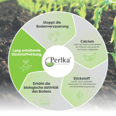 Perlka Kalkstickstoff 25 kg Stickstoffdnger Pferdeweide Universaldnger  Garte | eBay.de