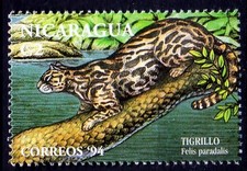 Oncilla, Tiger Cat, Tigrillo, Wildcats, Wild Animals, Nicaragua 1994 MNH 