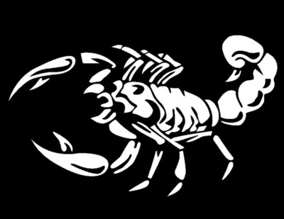 3D Autoaufkleber '' Skorpion '' silber (Ord.Black)