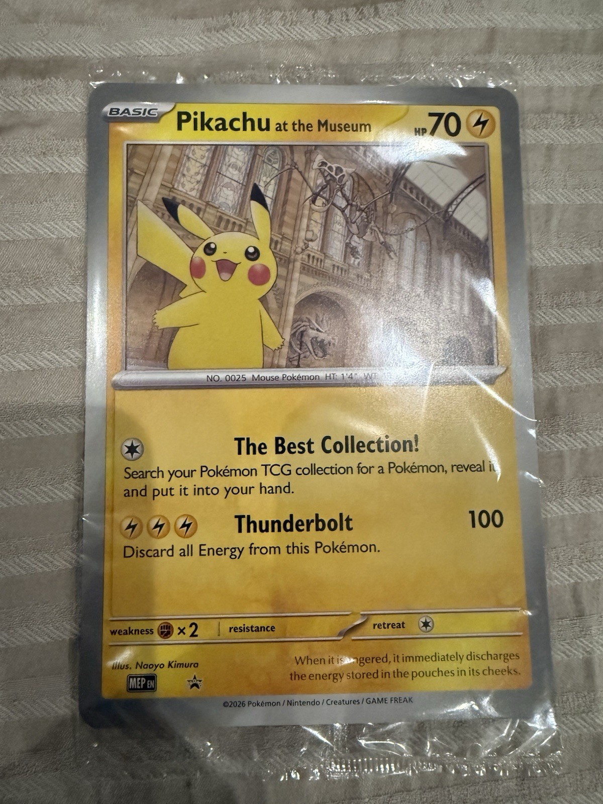 Pokemon Pikachu At The Museum Promo Card - SEALED
