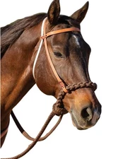 Schutz Hackamore Noseband 4 Plaited Hand Laced Chocolate 8168HL