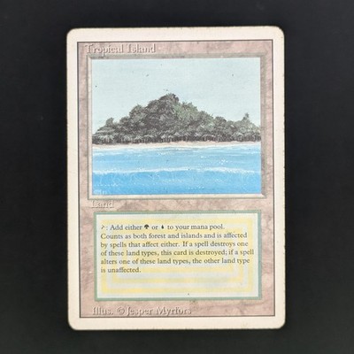 MTG \>> Tropical Island (PL) // Revised - 341 Trading - Magic