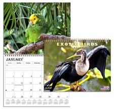 2026 Spiral-bound Wall Calendar Exotic Birds - 12 Months Desktop 11x17