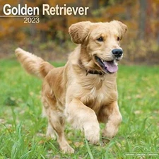Golden Retriever Calendar - Dog Breed Calendars - 2022 - 2023 wall calend - GOOD