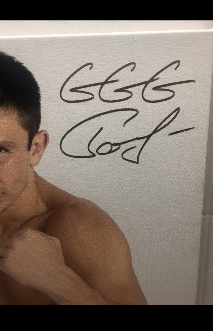 Gennady Golovkin 'GGG' Boxing Signed 20 X 16 On Canvas Photo