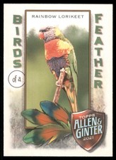 2021 Topps Allen and Ginter Birds of a Feather #BOF10 Rainbow Lorikeet INSERT