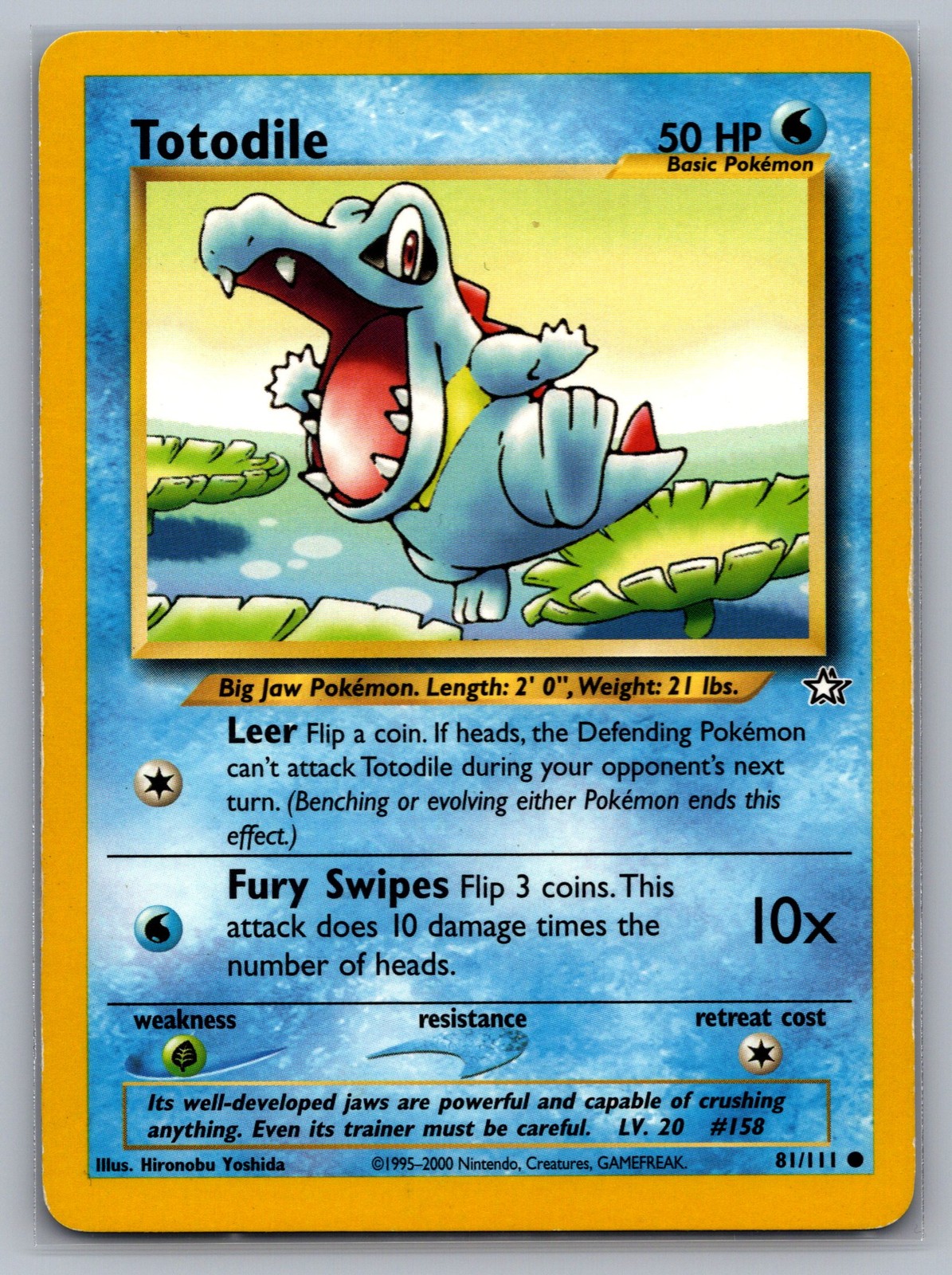 Totodile (81) Common Neo Genesis 081/111 NM