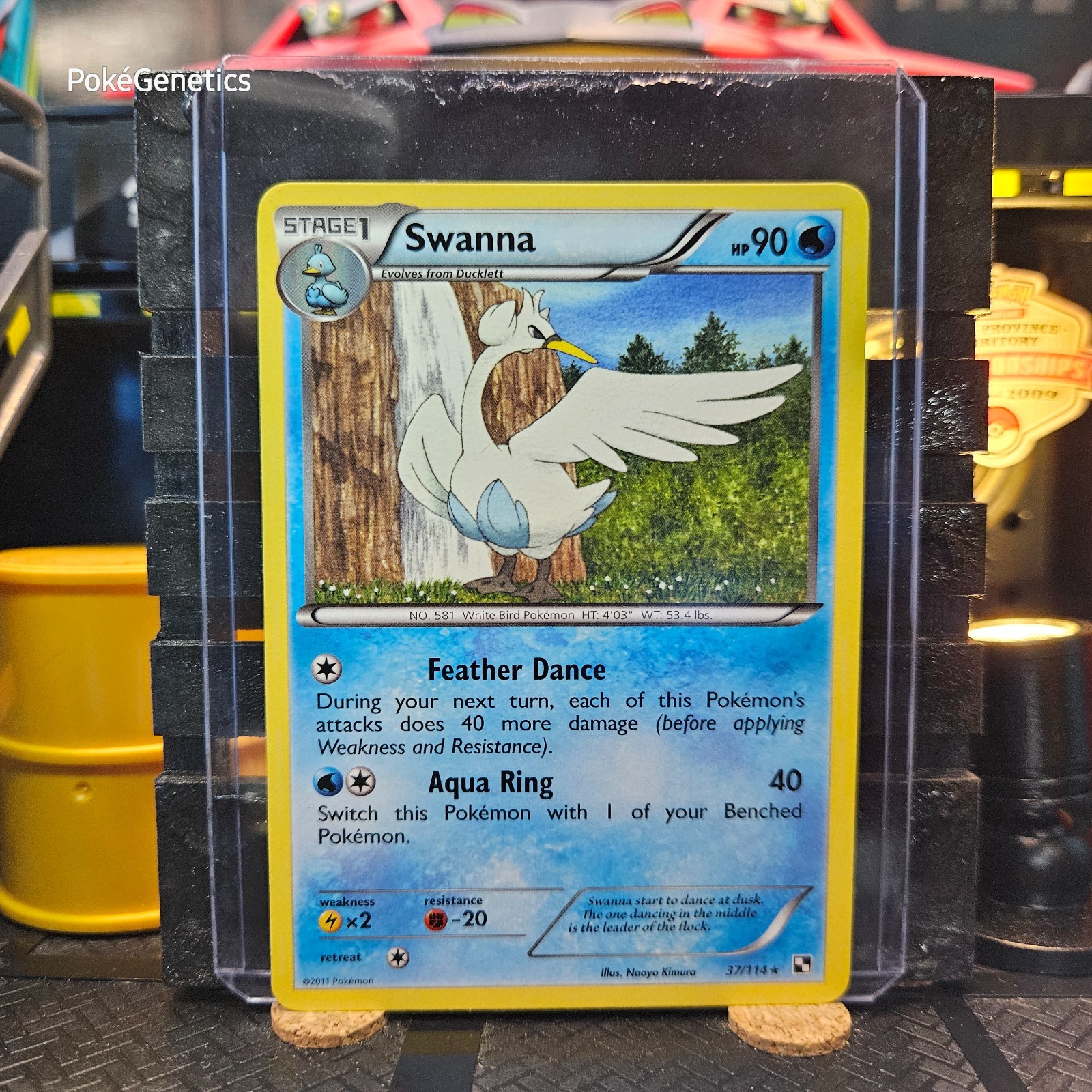 Swanna Black & White Pokémon TCG 37/114 Rare
