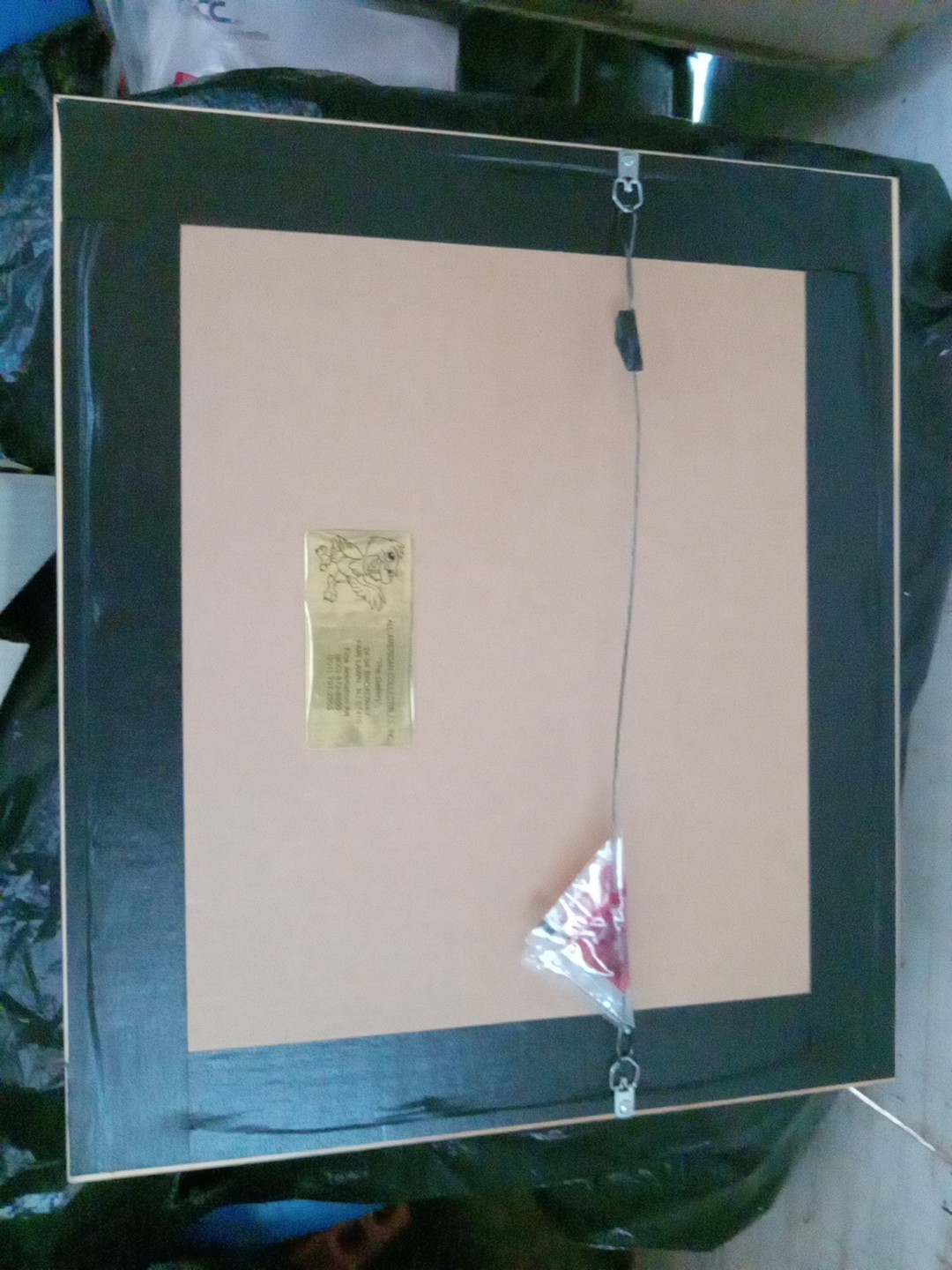Picture 6 of 6