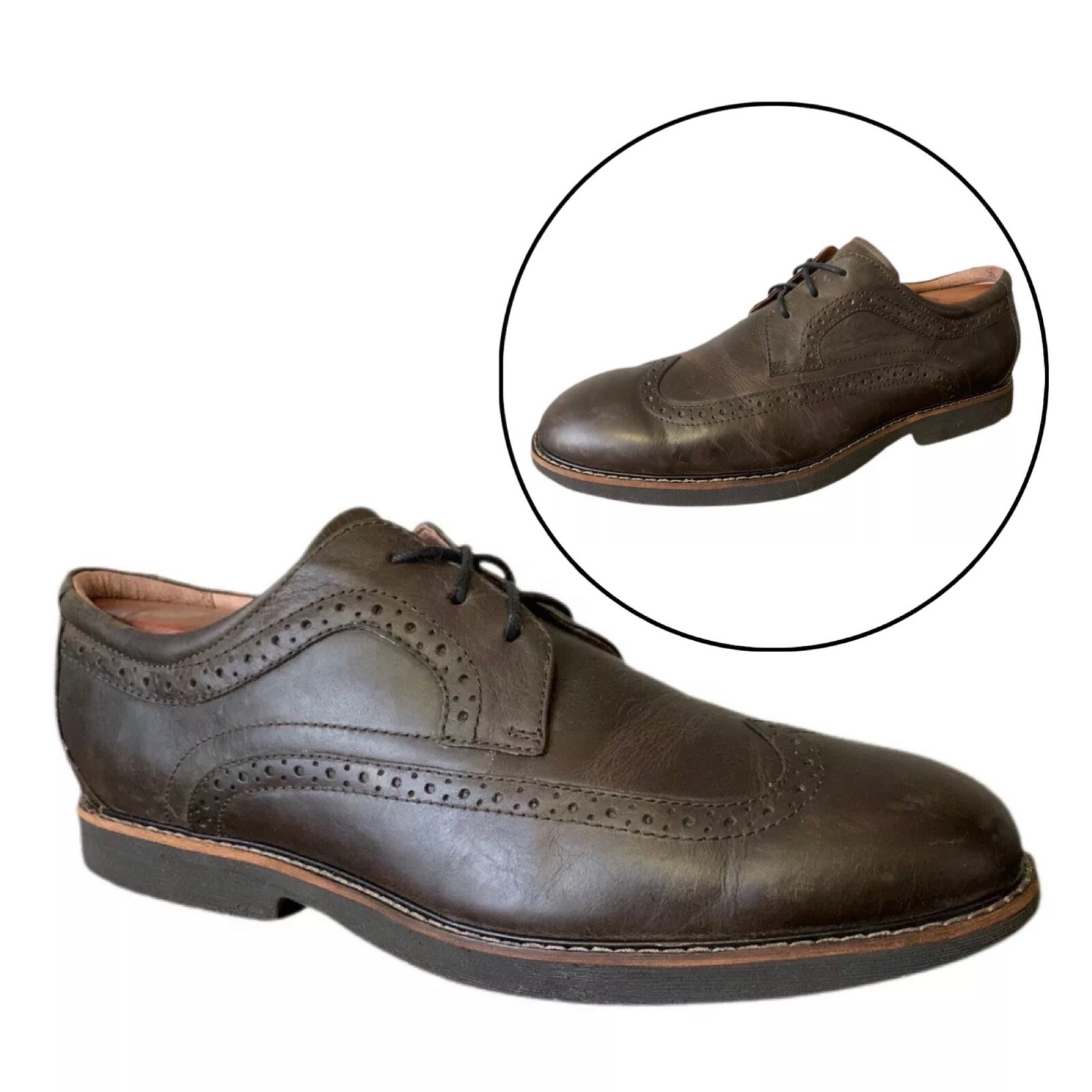 SAOLA Scarpe Oxford Abeo B.I.O.SYSTEM Niles Wingtips Marrone Brogue Wingtip Uomo 11N