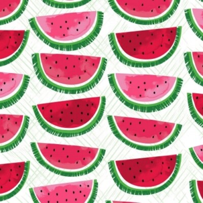 Timeless Treasures Watermelon Park C7333 White Watemelon Slices Cotton Fabric