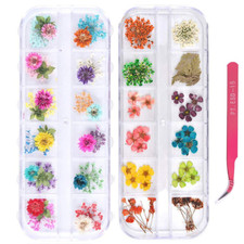 2 Boxes Nail Art Dried Flowers, 24 Colors Dry Flowers Mini Real Natural Flowers