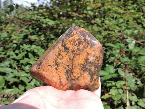 Set of Rare & UNUSUAL Oregon AGATE & Rhyolite Stone ROCK Nodules 2lbs+ total - Picture 5 of 24